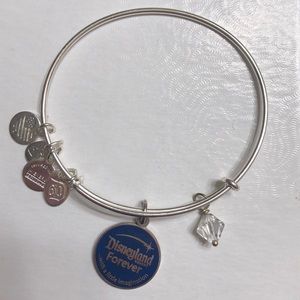 Disney Alex and Ani